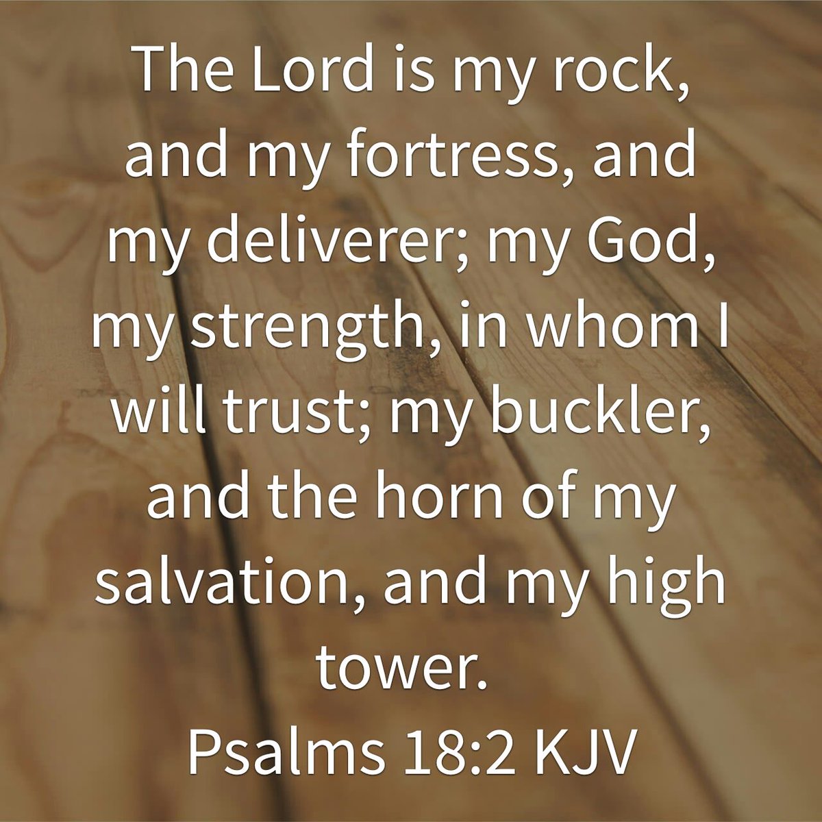 curtleeeightyt's tweet image. The Lord is my rock, and my fortress, and my deliverer; my God, my strength, in whom I will trust; my buckl…
bible.com/1/psa.18.2.KJV