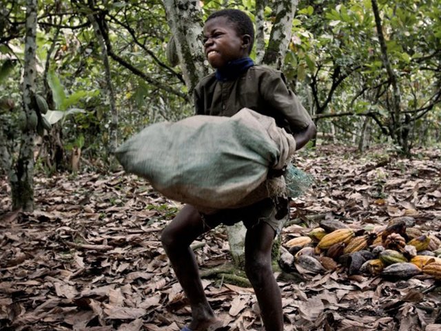 mediashowers's tweet photo. Boycott chocolate produced by child slaves - Join the campaign https://t.co/ji4bO9WbZ6 https://t.co/p6bzG0111q
