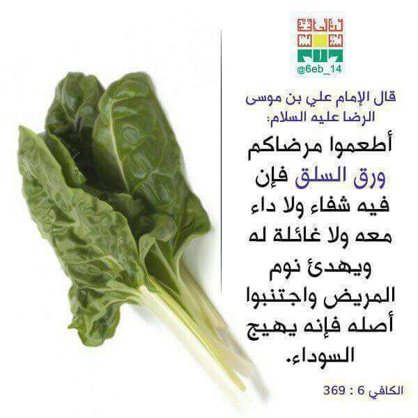 💯 ملاك الروح 💯 (@jaafer9090) on Twitter photo 