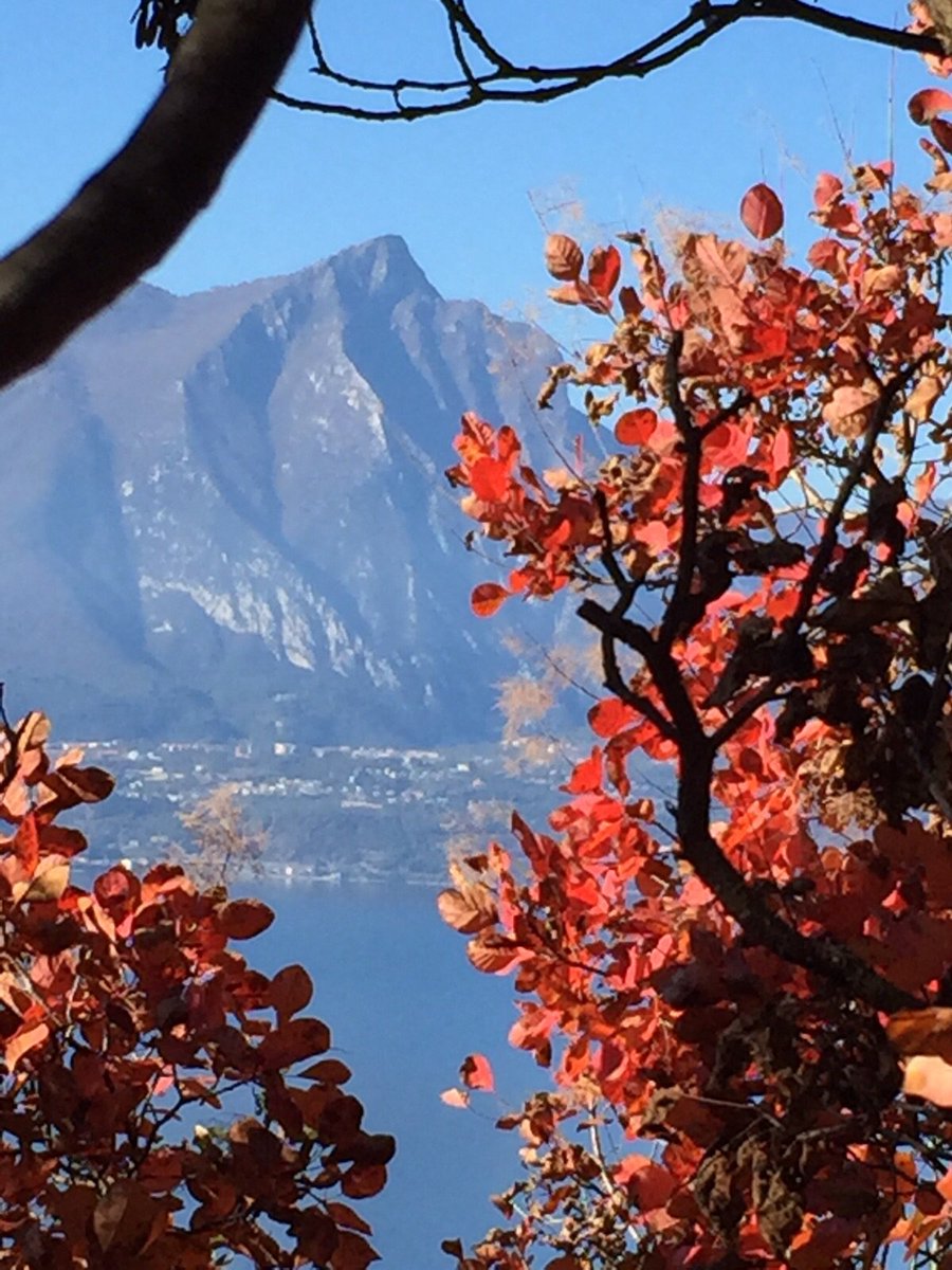 AldinaConsolini's tweet photo. il monte #Pizzoccolo
#Gu`xtutti
#nasodiNapoleone x gli amici
Tanti nomi,un sicuro punto d riferimento
#casa
#lemieradici
#buonpranzo #amici https://t.co/wZ0B0vOvxy