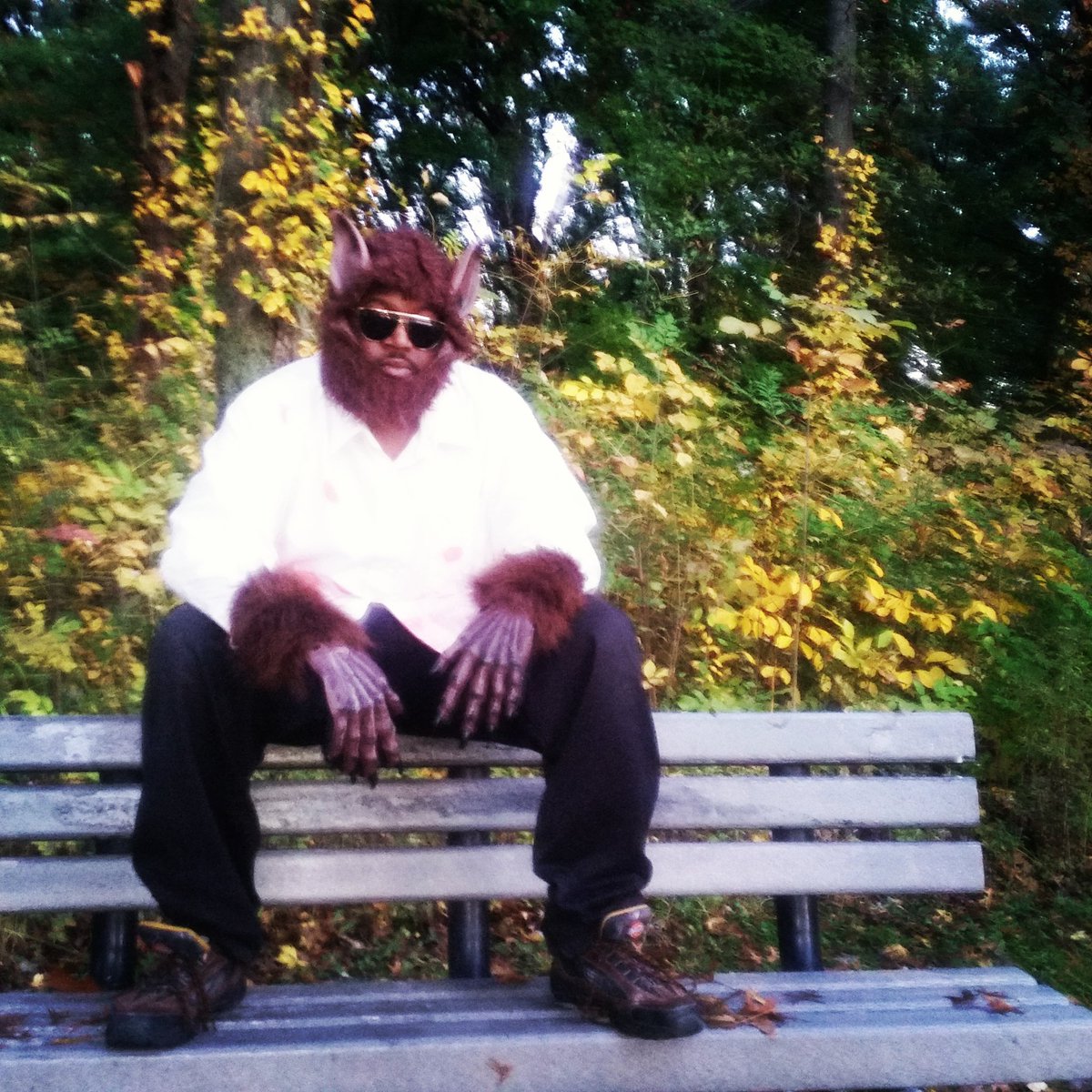 Freedom_Comedy's tweet photo. I'm the sexiest wolf on twitter so wassup with some of that wolf pussy tho? #BlackWerewolf #BlackLivesMatter #WolfNigga #WolfLife #WolfGang https://t.co/auJ0xAjIIi