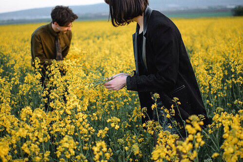 yellow aesthetic (@YellowAesthetic) / Posts / X