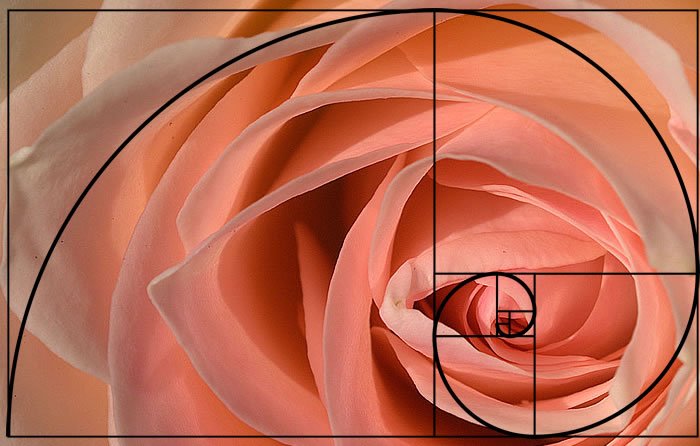 Didatticarte's tweet photo. Come nel #Rinascimento… fai una #fotografia con la #spiraleaurea!
https://t.co/NsHx4DbURE #pittura #geometria #arte #didattica https://t.co/I4CVJYxL0n