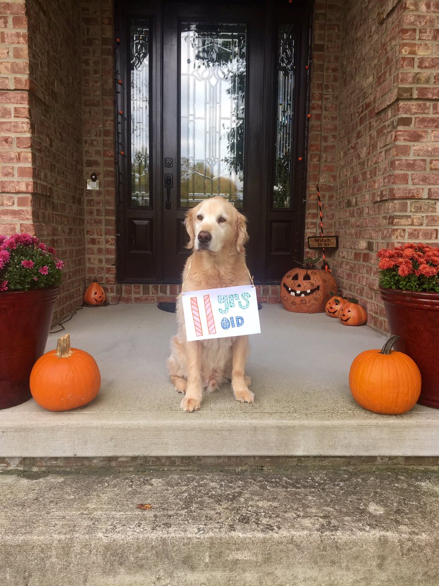 annabinkie's tweet photo. He's too freaking cute https://t.co/AexcaN4KK8