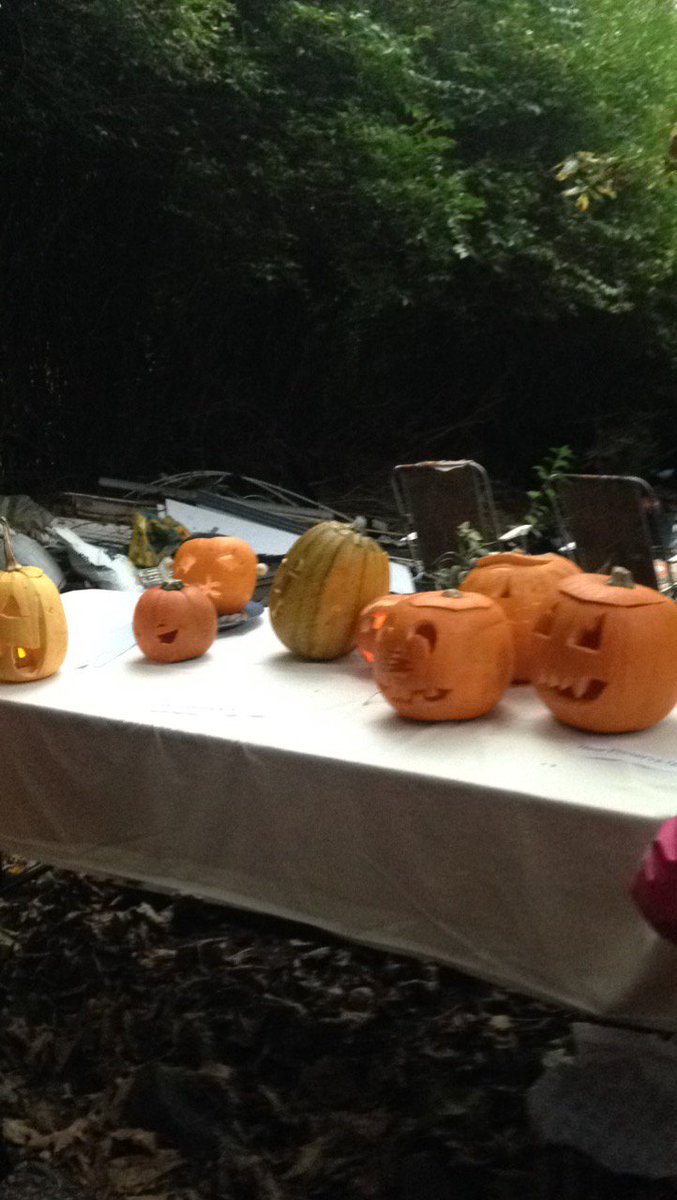 Rivelin_Record's tweet photo. Wonderful creations in the carved pumpkin competition! #walkley #sheffield https://t.co/QoadZMPU4L