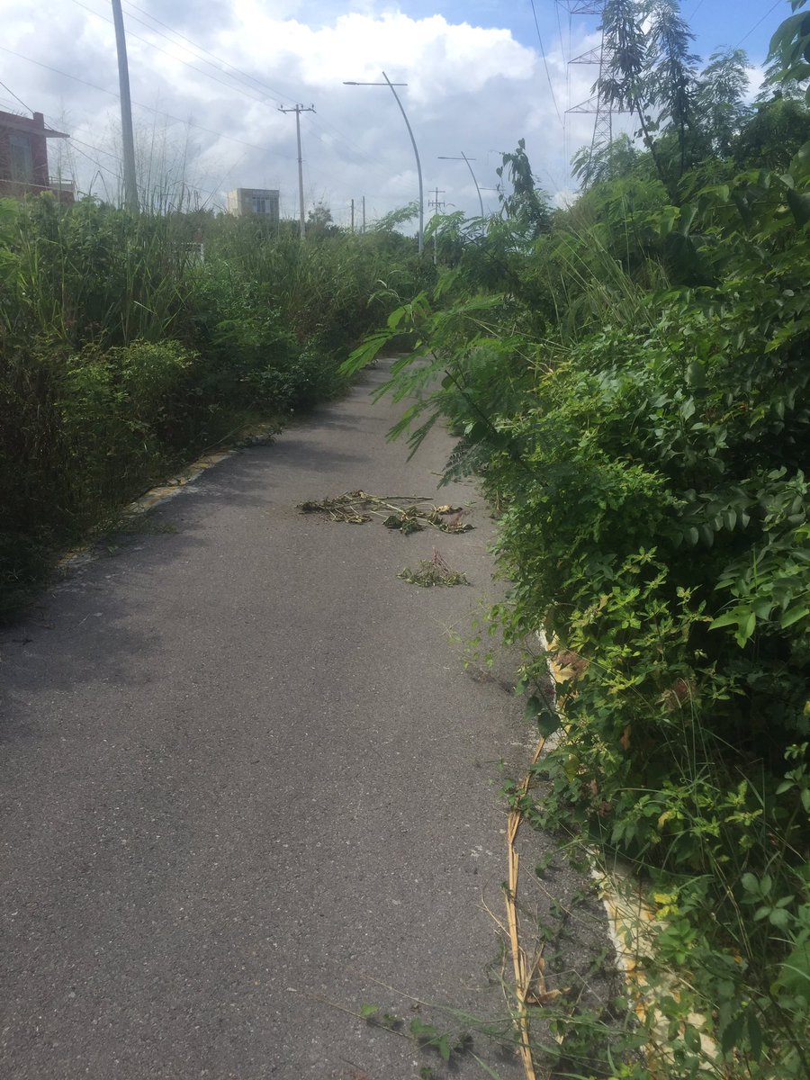 jmartinsamano's tweet photo. Ciclovía de la av Huayacan en pleno deterioro! urge limpieza pues además es peligroso para corredores o ciclistas @demandasem_bj https://t.co/OjyGCS2Eho