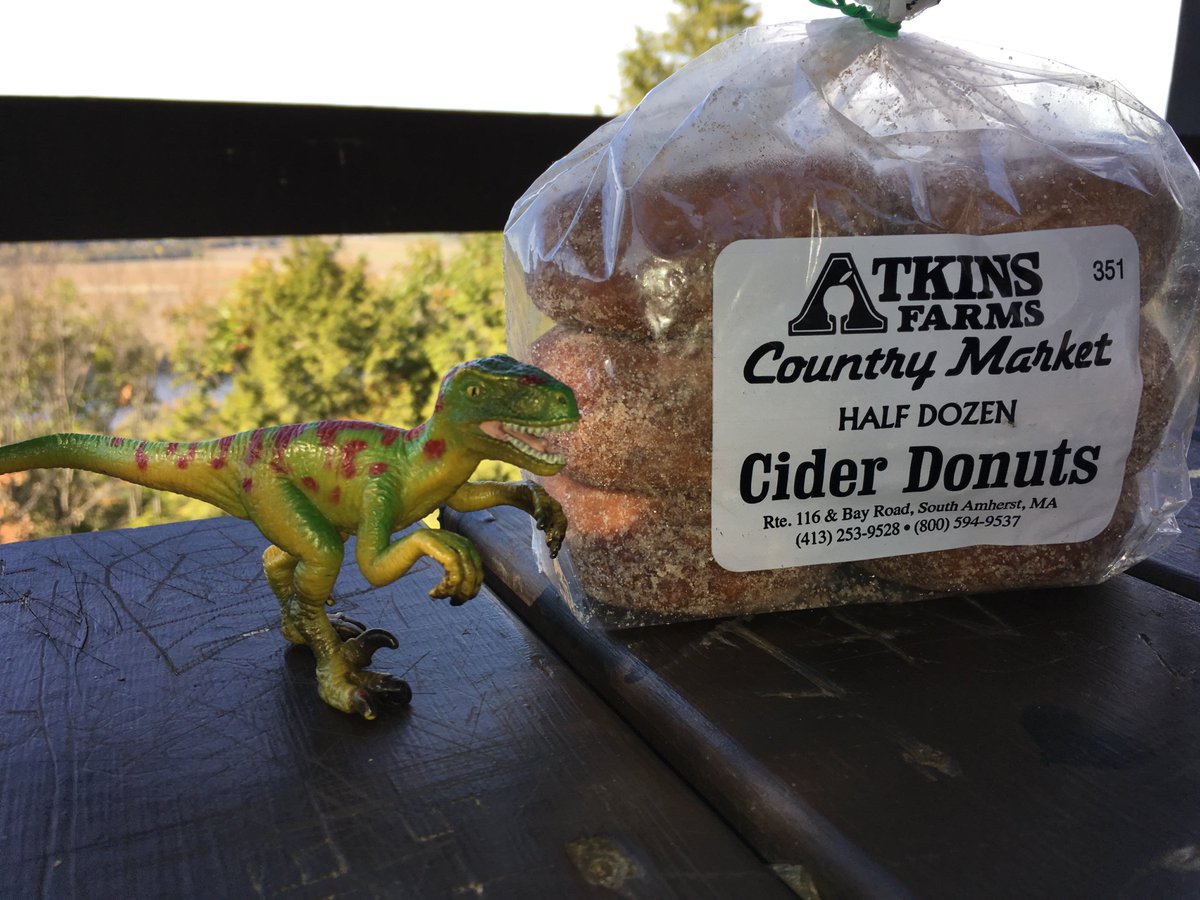 Velociraptor enjoying cider donuts atop Mt Holyoke.