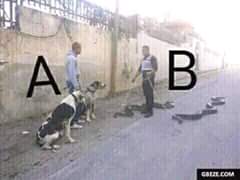 Chibykeval's tweet photo. Abeg hu go win dis fight https://t.co/m0LjWit6ft