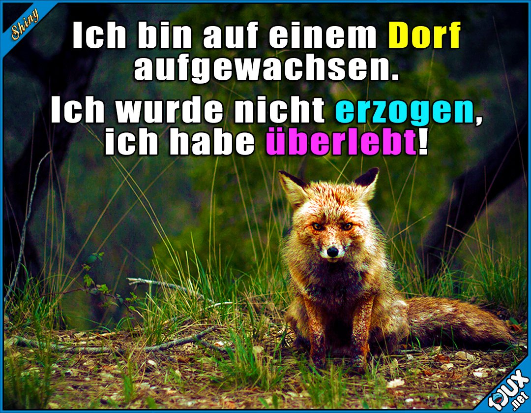 Shiny on Twitter &quot;Nur der stärkste überlebt! https//t.co/eG4LovalPn Dorf Dorfleben überlebt