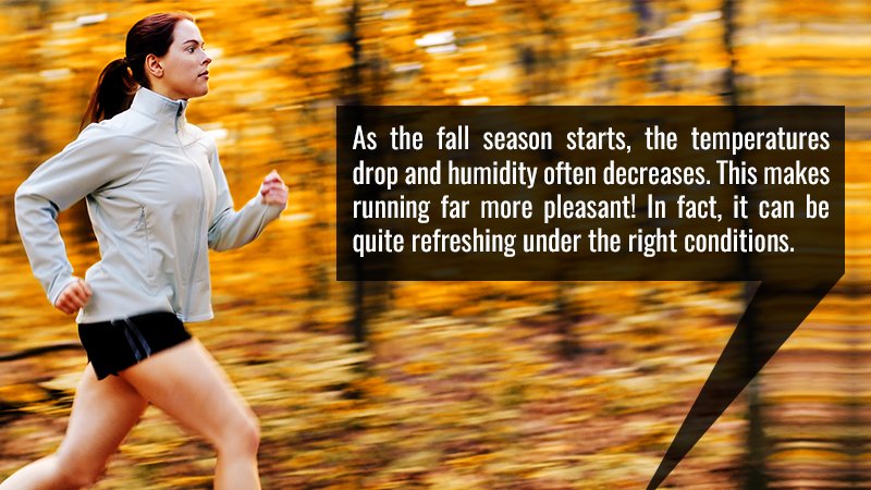 ProLineSports's tweet image. #running #runnertips #fall goo.gl/I31CBW