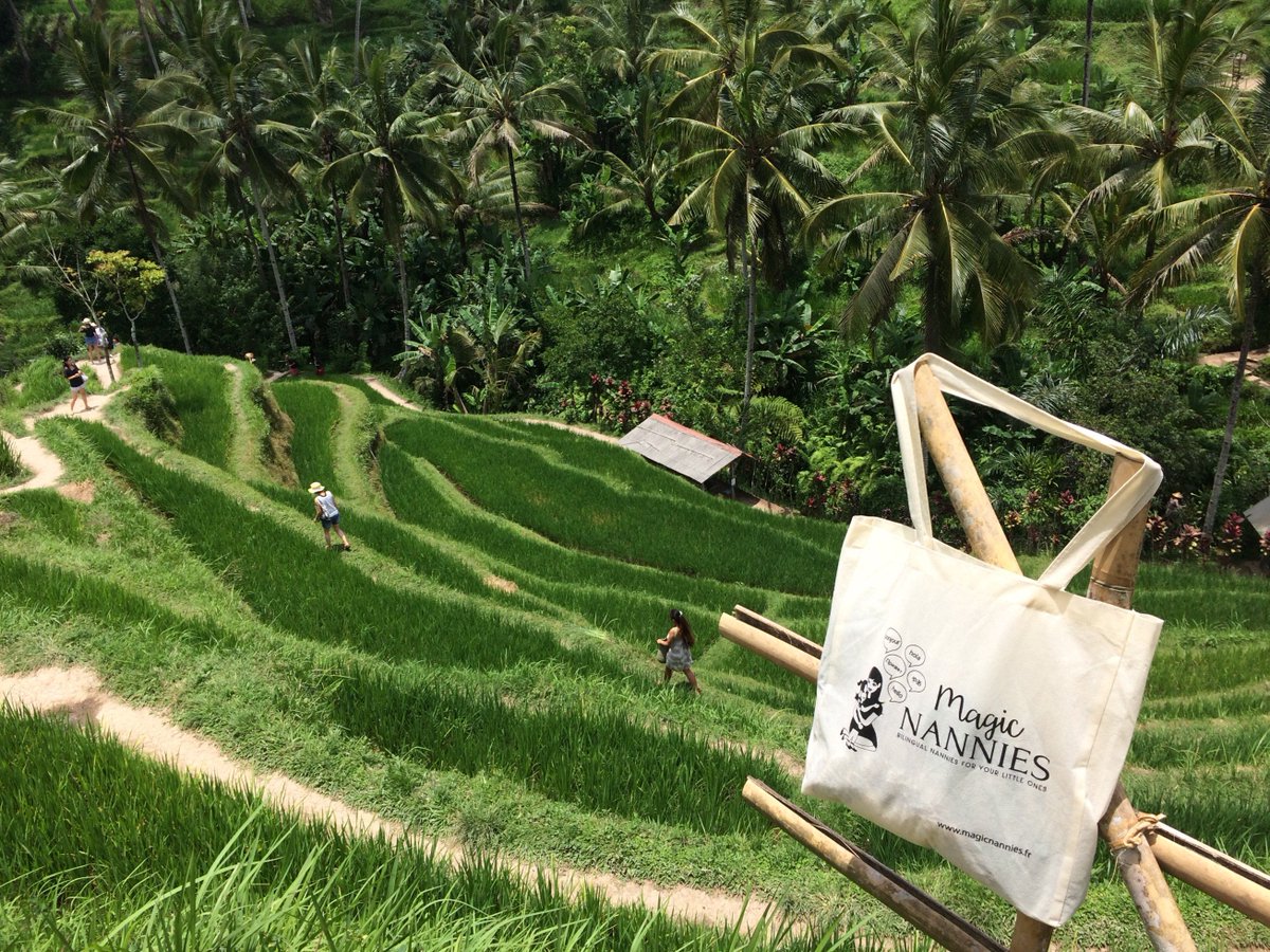 MagicNannies's tweet image. #MagicNannies est à BALI ! Petite photo en haut des rizières d'Ubud où nous pensons à vous les #MagicNannies et #Magicmums (retour le 07/11)