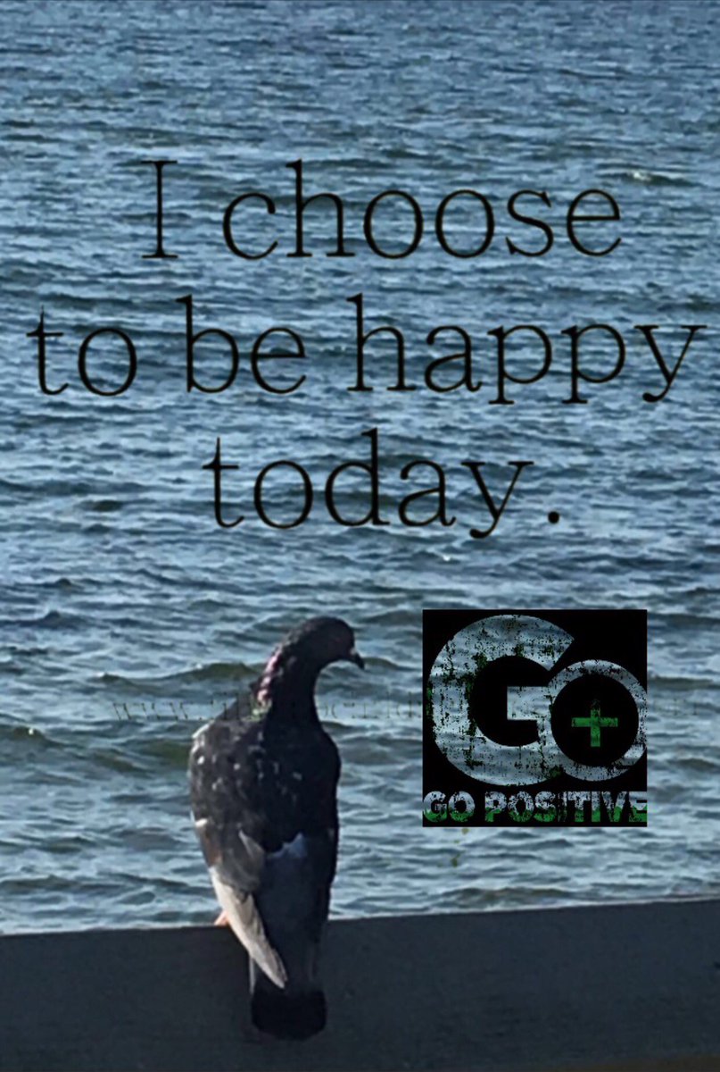 GoPositiveCEO's tweet photo. Only YOU determine the direction of your day. Go Positive! #itssundayrelax #youcanchoose #positivevibes https://t.co/7mPITOPDR6