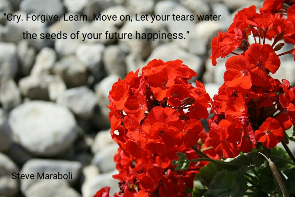 TamaraAde1's tweet photo. Stop and change your actions today! Find your happy path in life #mindset #personaldeveopment https://t.co/CCEUbS83ZY