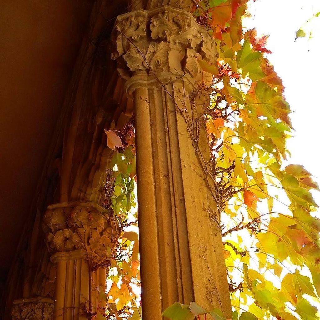 joseansiraizoz's tweet photo. Otoñeando columnas #Columnas #Olite #CastilloOlite #PalacioOlite #Navarra #navarragrafias https://t.co/jztgSS7E9t https://t.co/zQ3DEafc9D