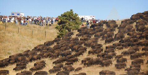 Ishmael Beah tweet media