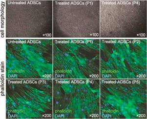 book advances in ceramic matrix composites x volume