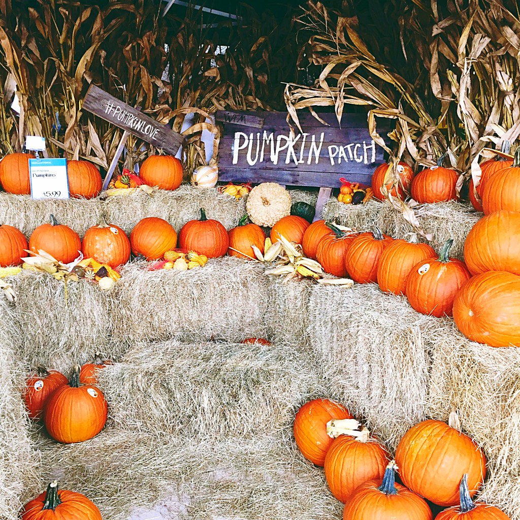 RozlynGlanfield's tweet photo. 6 Halloween tricks to enjoy your treats without weight gain https://t.co/DrySXhvuKb https://t.co/RrP3rBicL3