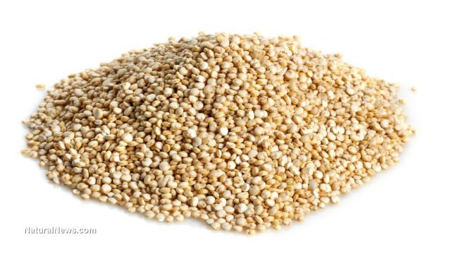 HealthTBN's tweet image. When the Spanish ... #Conquistador #EssentialNutrient #Quinoa #Superfood #news wp.me/p7uq53-a66