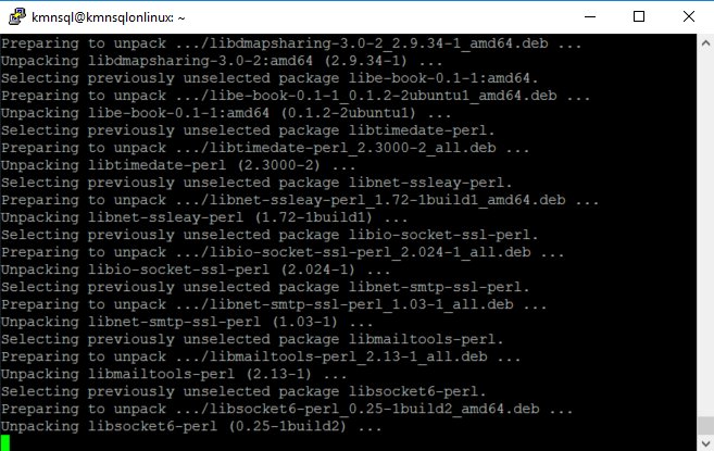 DoktorKermit's tweet image. I had never seen myself running Ubuntu through Putty - but heck what are we not doing to get #SQLonLinux ;)