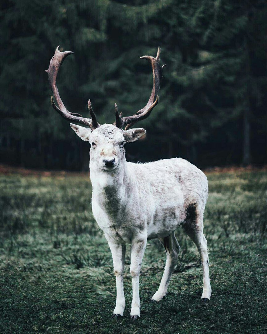 sᴀᴅ ᴘɪᴄs (@sad_pic) on Twitter photo 