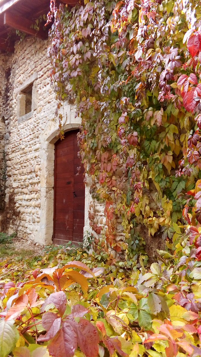 OTPerouges's tweet image. Visite COMPLÈTE pour ce soir ! "Les sombre heures du moyen âge" reviendront en 2017 ! #perouges #moyenage #visiteguidee #halloween2016
