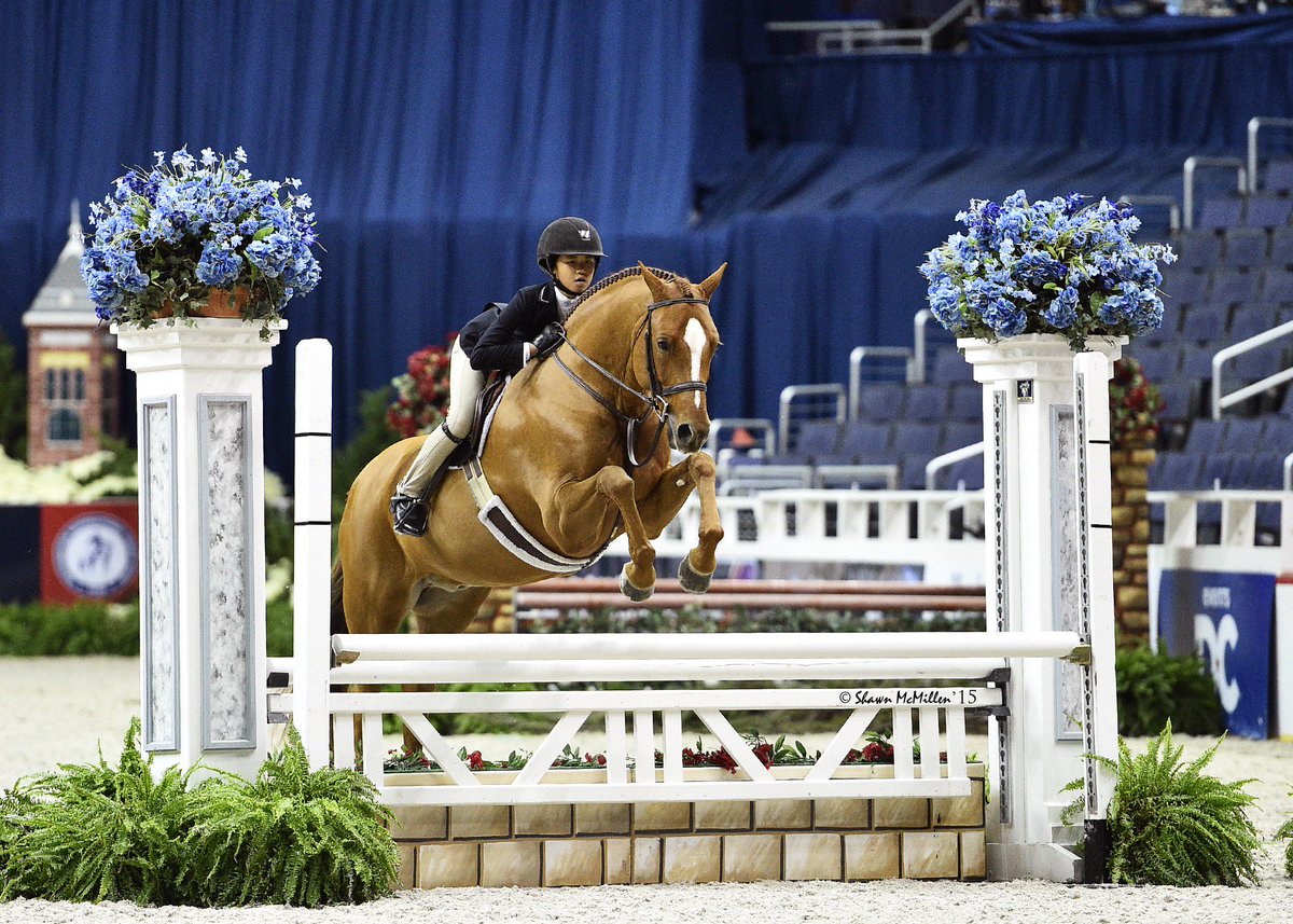 USEFNetwork's tweet photo. Ponies consume last day of @WIHS. Catch hunter & equitation classes until 4 pm EST #ponypower #wihs2016 🐴
Watch: https://t.co/SHAVpotdzA https://t.co/akFfLep432