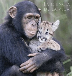 AnaElen73908848's tweet photo. #AmorDelAlma
#AmorInsustituible
#Amorirreemplazable
#AmorEterno
#AmorInsuperable
#AmorSincero
#AmorVerdadero
#AmorAmorAmor
#AmorReal https://t.co/zvw3RBJqDa