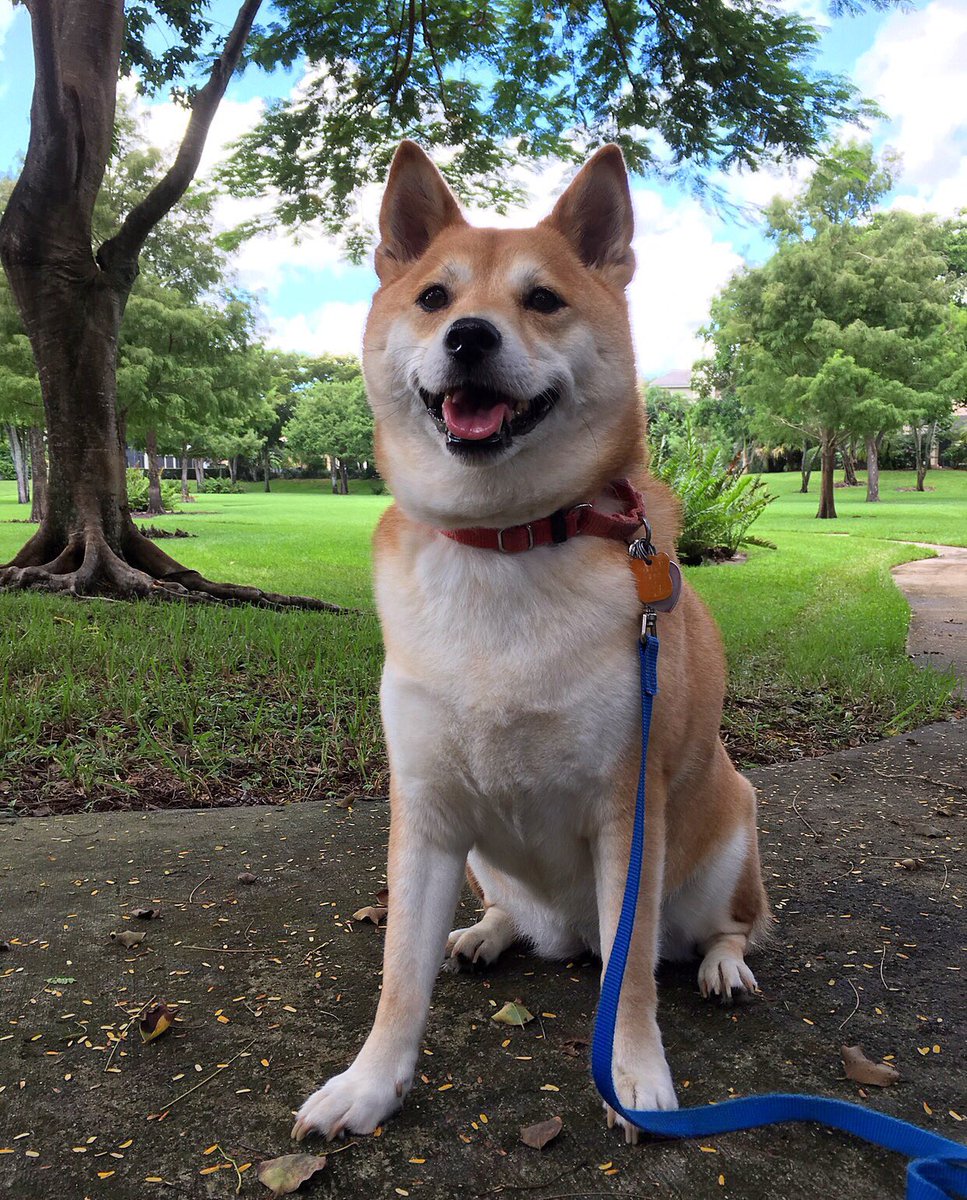 My idea of a walk 😝