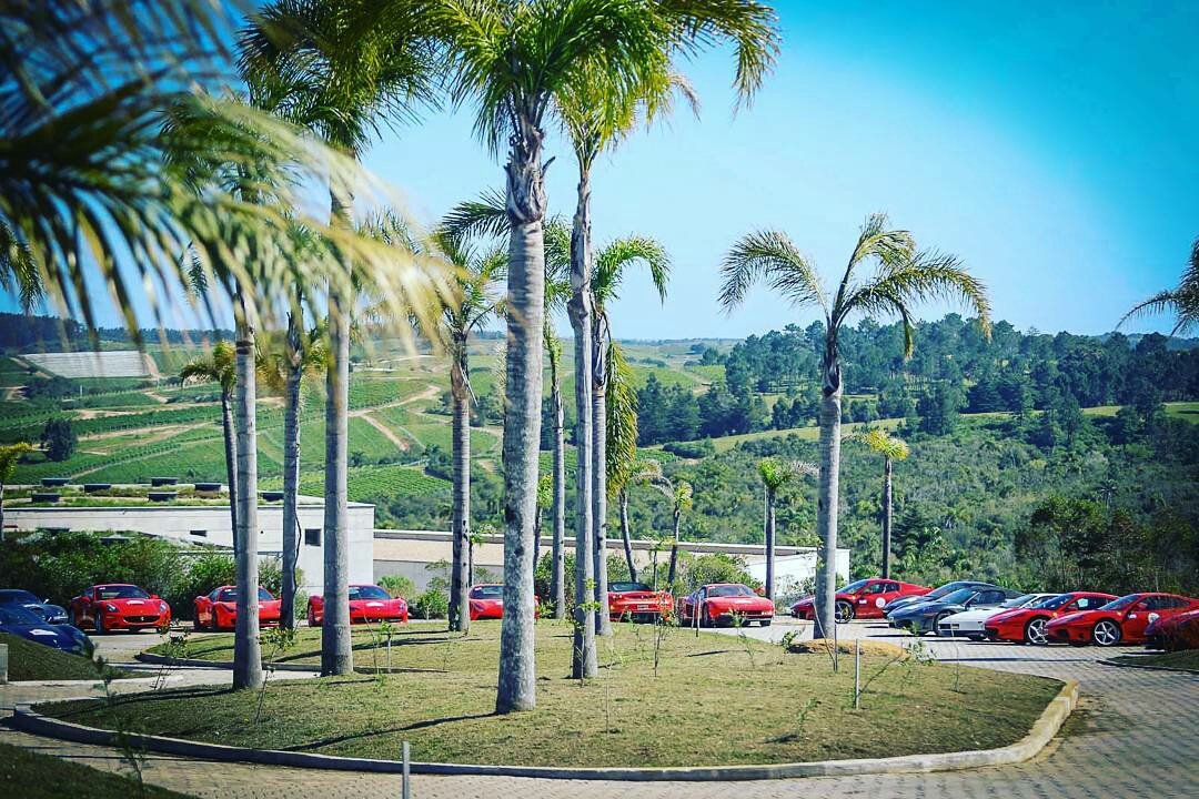 agenda_punta's tweet photo. Recuerden que hoy el #incontroferrari está almorzando en #Guappa despidiéndose de #PuntaDelEste!!!
#Ferrari
#IncontroSudamérica https://t.co/qAZJ4vUsOP