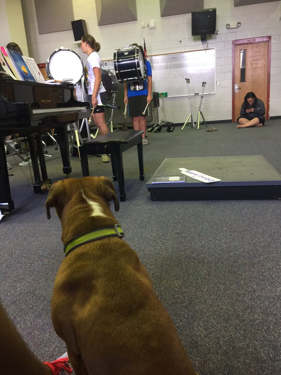 SolarisIndoor's tweet photo. Emma watching our basses during subsectionals this morning! #wgi #band #dog https://t.co/22BKIiWsJr