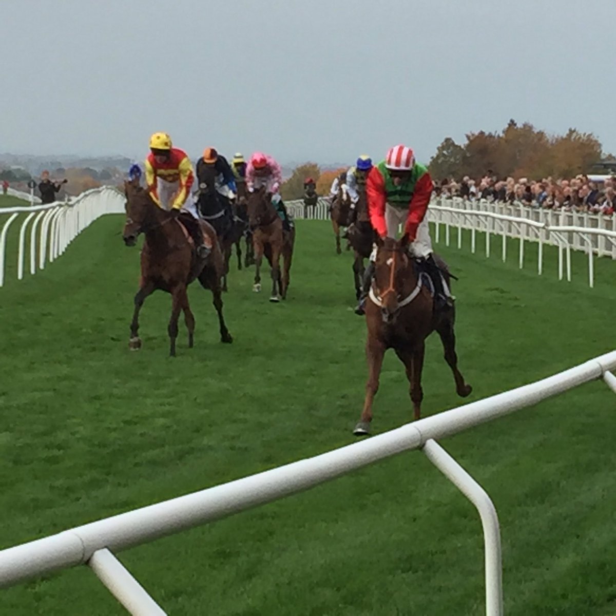 mrossi11's tweet photo. #DefinitelyRed wins race5 Great to see #DannyCook back racing #CarlisleRaces https://t.co/BokHEgfQDT