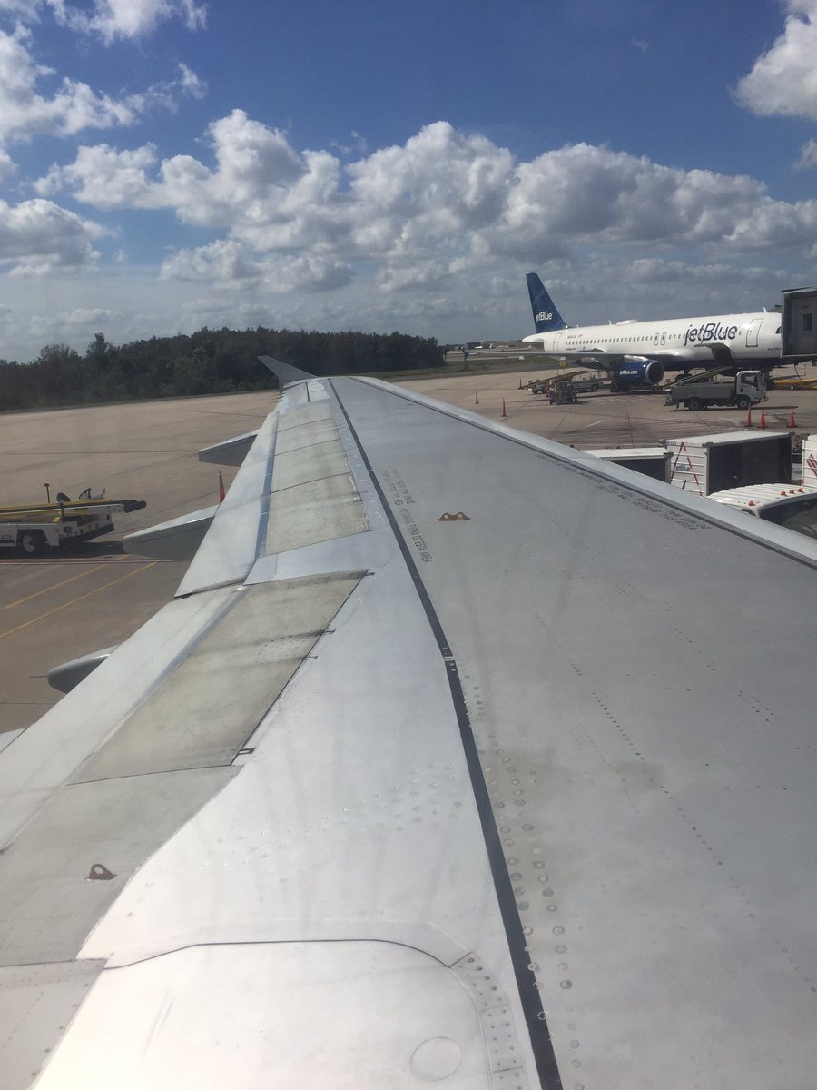 StagsXC's tweet image. One last tweet from Florida. It's been fun! #MAACXC #GoStags