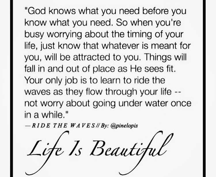 donmelv's tweet image. 