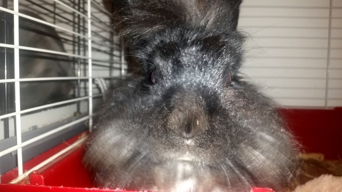Vanilla052013's tweet photo. Hoppy Sunday ! https://t.co/8XJAcLy7Bn