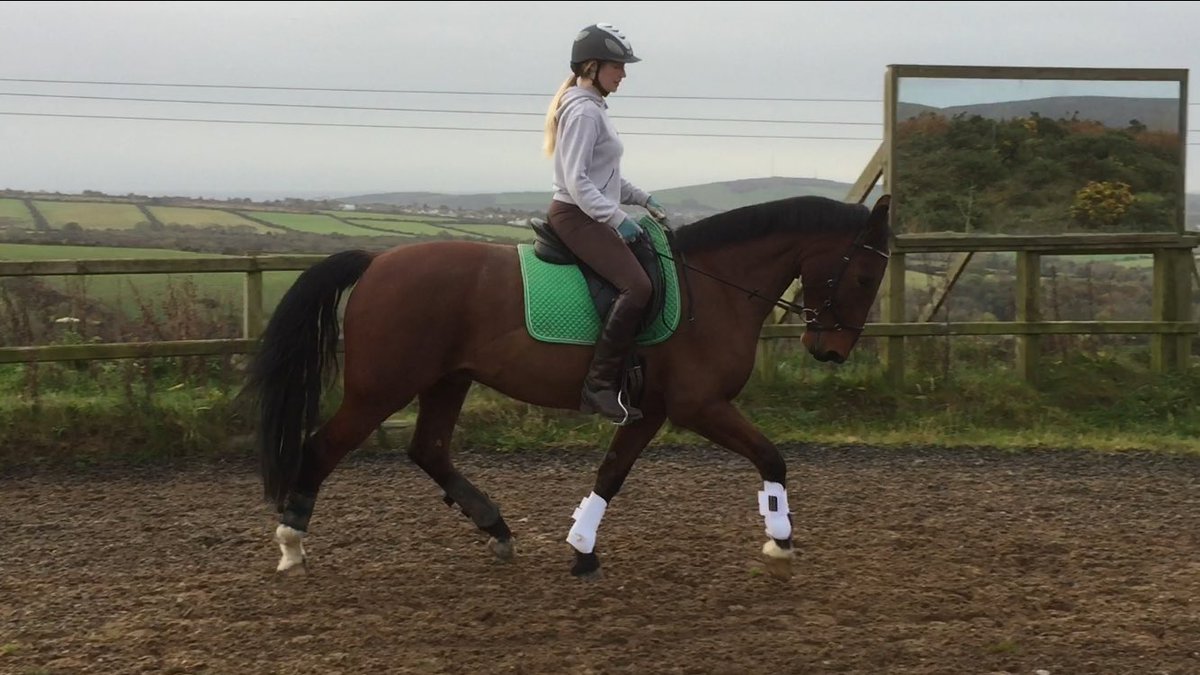 LibbyPriest's tweet photo. Playing ponies this weekend #muchlove #babyhorses https://t.co/dBahZcO7vL