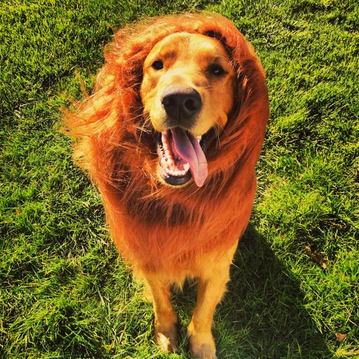 not_thecaptain's tweet image. Mack is a fan! See the difference. #ONEdifference #FreeSample landing.smiley360.com/landingpage147…