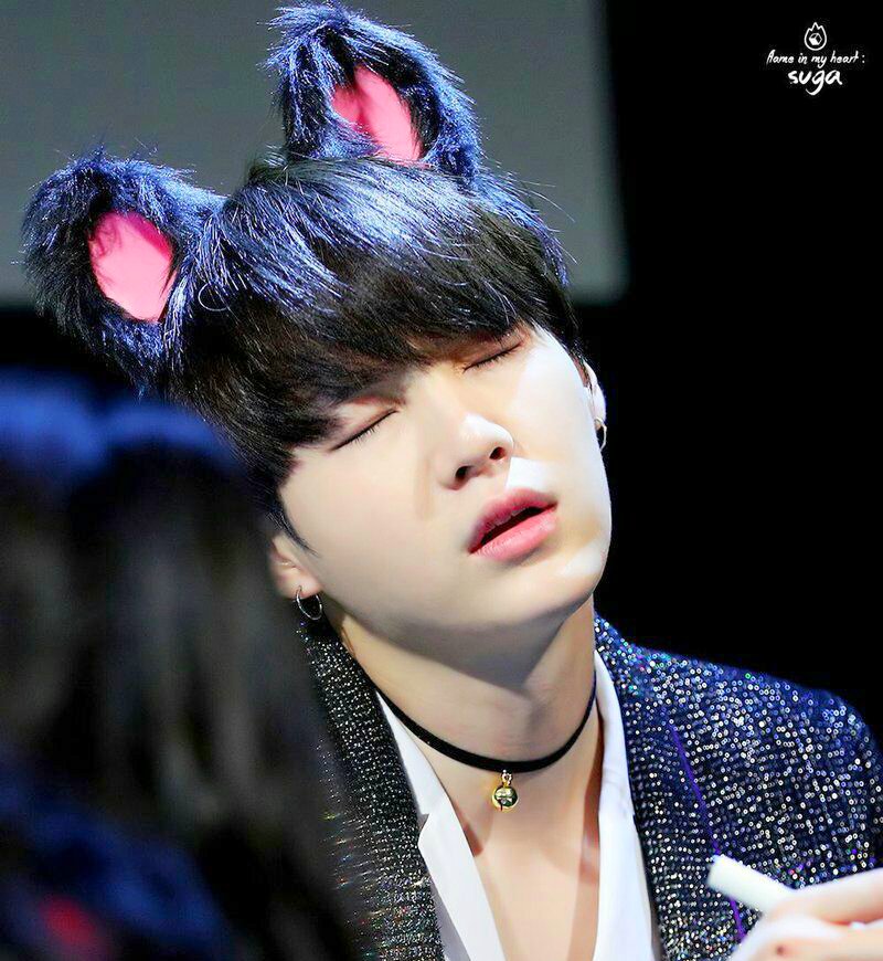 tailplugsbts's tweet photo. kitten!yoongi https://t.co/f89Rz5a0hQ