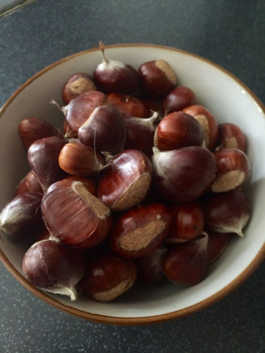 Chestnut gathering today #childhoodmemories