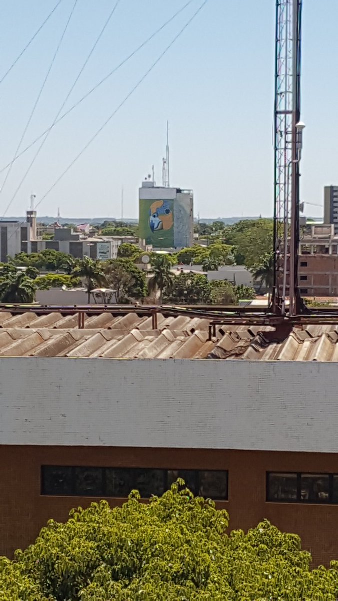 bibiv_'s tweet photo. gente vcs acham q morar no centro é legal nas não é fácil olhar da sacada e ter q lidar com o fato d q pintaram só 80% da arara #SolEmVirgem https://t.co/p1uehW1WgR