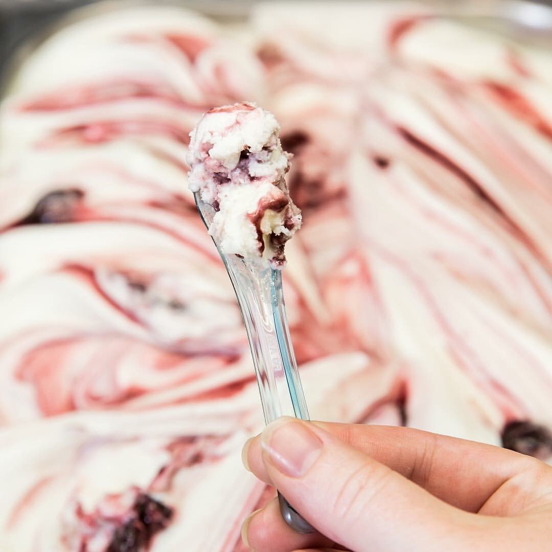 Tèo Gelato is back with more tasty samples, today at the Parmer/McNeil, Lakeway and Mueller HEBs! 🍧