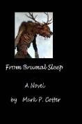 Cybele9751's tweet photo. @NicoleAMaines One of "my novels" The Sacred Stone (revised as From Brumal Sleep) UM Orono Stacks 
 PS3603.O883 S337 2013  
 AVAILABLE https://t.co/5DrgdtGCRM