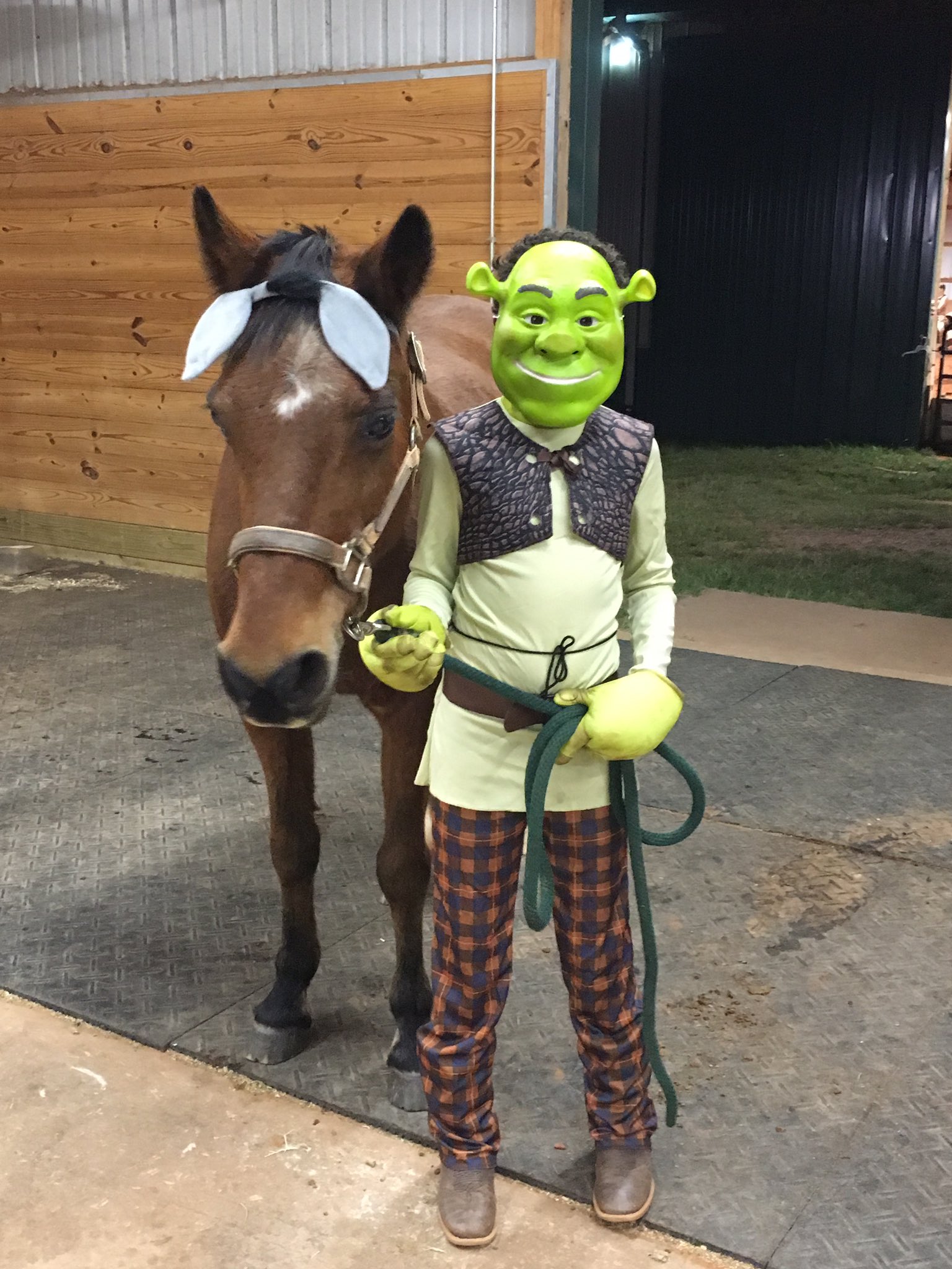 Awesome Homemade Shrek and Donkey Costumes - 9 Years in the Making!