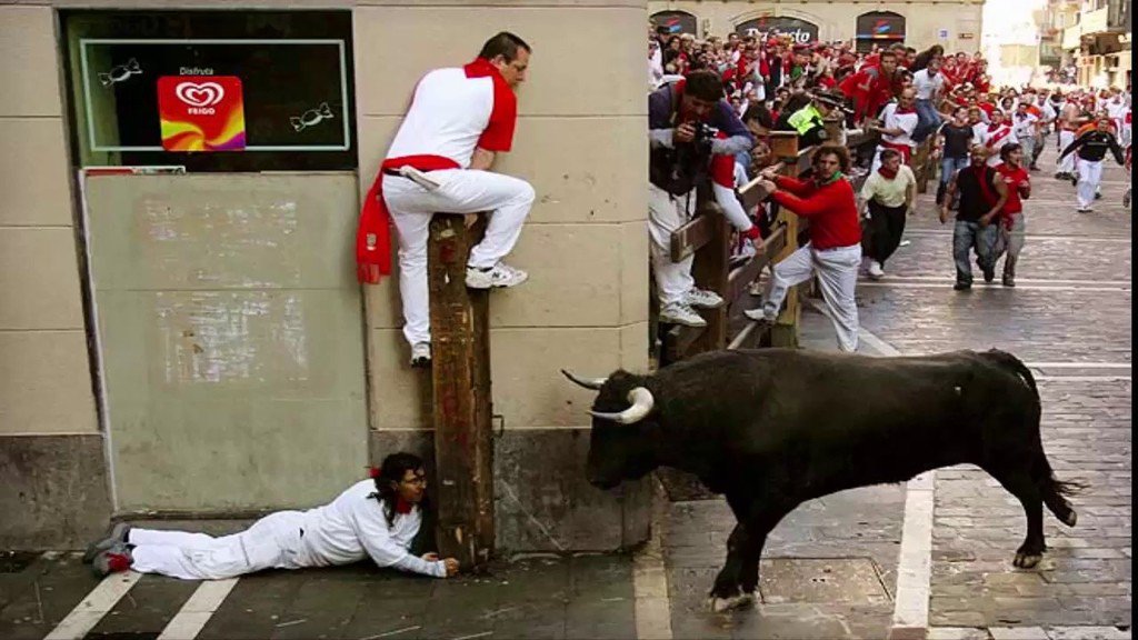 TheFunBuzz's tweet image. youtu.be/BP3Ha9KpXhk ►►Funny Videos 2016:Funny animal attacks:Bullfighting #2