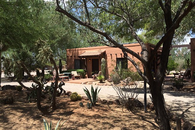 MeteoritesAZ's tweet photo. There is no place nicer than #Tucson in #January! Come to paradise AND learn to #meteorite hunt with @geoffnotkin of @meteoritemen! https://t.co/9gCc9LqC1y