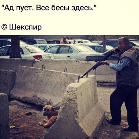 Невероятно, но Факт! (@best_fact) on Twitter photo 