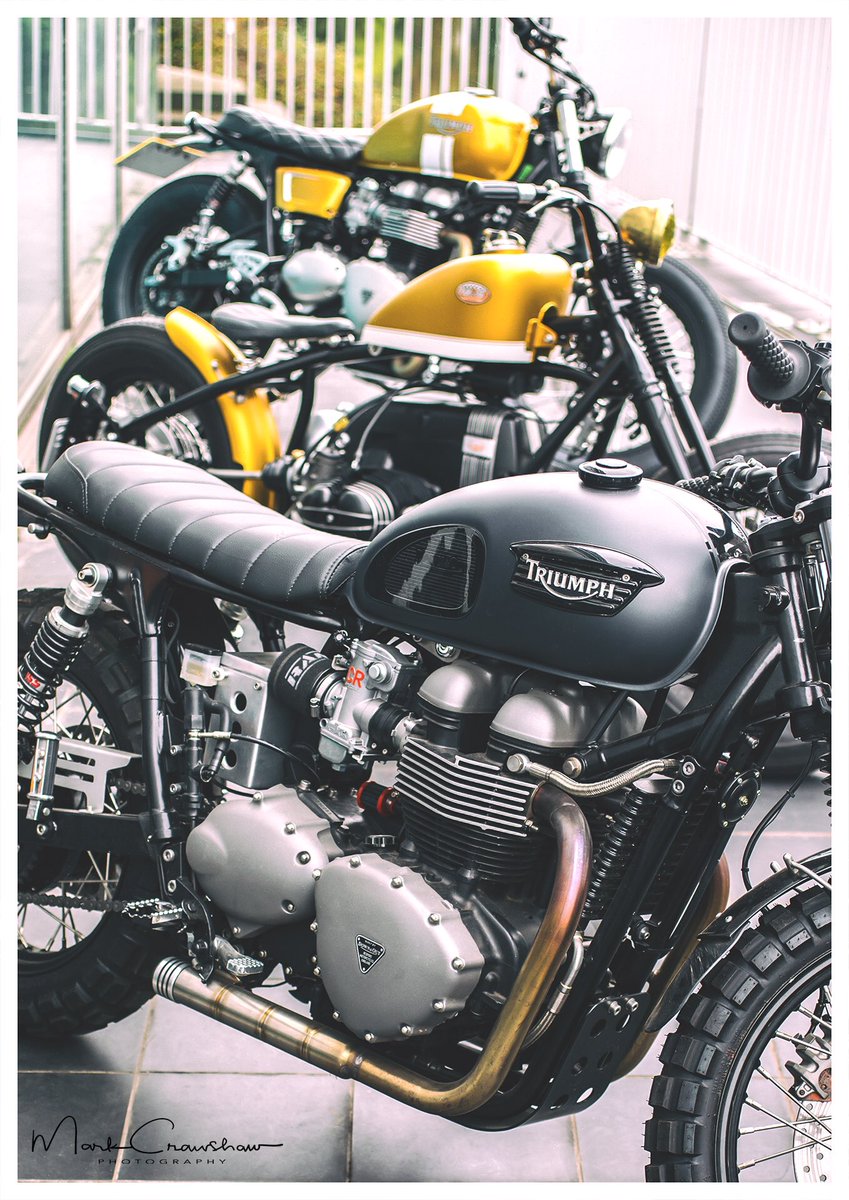 Best Of The Bunch <a href="/UKTriumph/">Triumph Motorcycles</a> <a href="/TriumphMotorIT/">Triumph IT Official</a> @Downandoutmoto #triumph #triumphBonneville custombikes