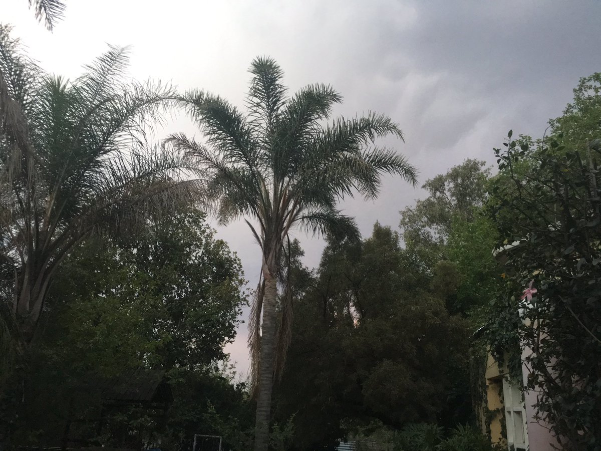 ananda_nan01's tweet photo. @ShawPhotoCC 
#smartphonephotography 
#upperview https://t.co/vso7MrKD3W