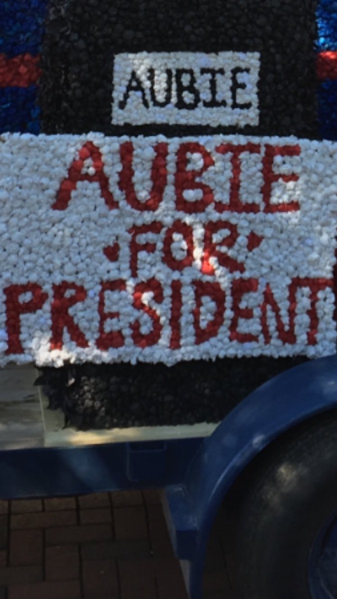 coo_ka's tweet image. #electionfun 🐯