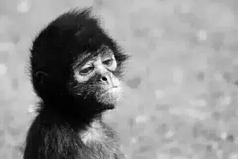 lekanxyz's tweet photo. Me: I just gained admission

*2hrs later*

Landlord: my heart has been doing gbish gbish since... 
Me: https://t.co/uld5NT2ipl