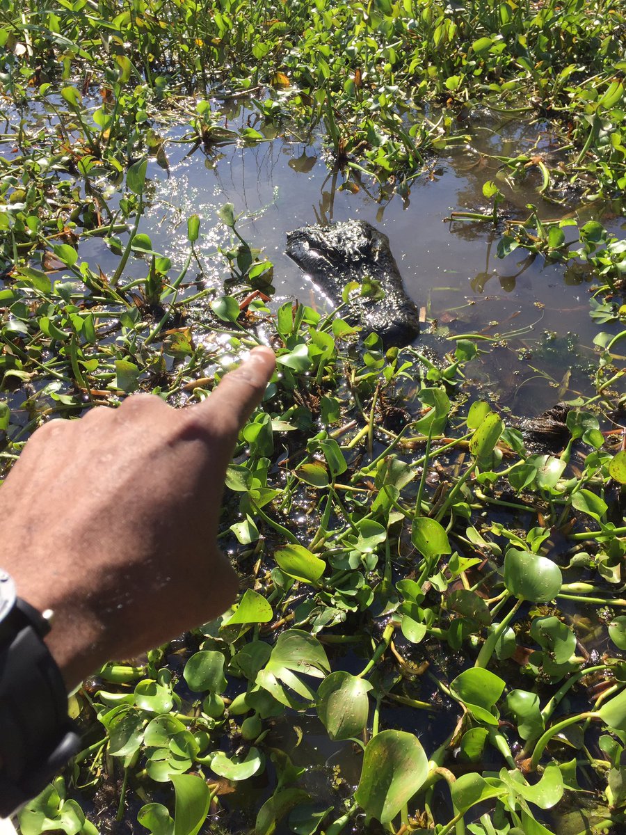 CashNasty's tweet image. 10k Rts and I'll jump in and have ash film